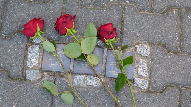 Rosen auf Stolperstein